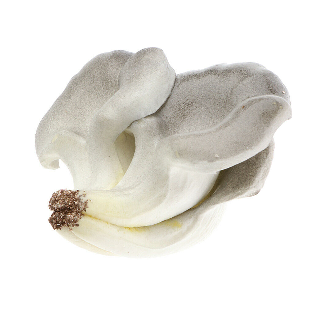 Realistic Artificial Fruits yster mushroom for Home Kitchen Decoration