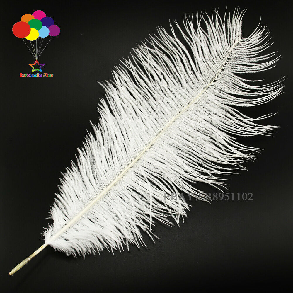 White Ostrich Feather 8-10 Inch/20-25 cm 50 PCS Home Decor Romantic wedding