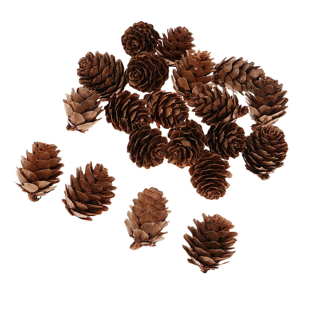 Fantastic Christmas Tree Decoration Natural Pine Cones for Winter