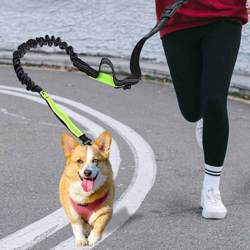 Adjustable Dog Walking Bungee Lead Strong Coupler Elastic Anti Strain Leash NEW