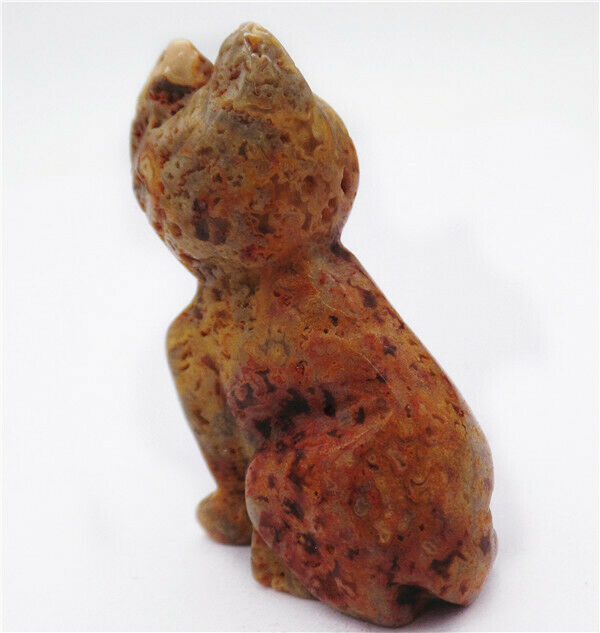 50x31x18mm Natural Crazy Lace Agate Carved Cat Decoration Statue Decor HH7964