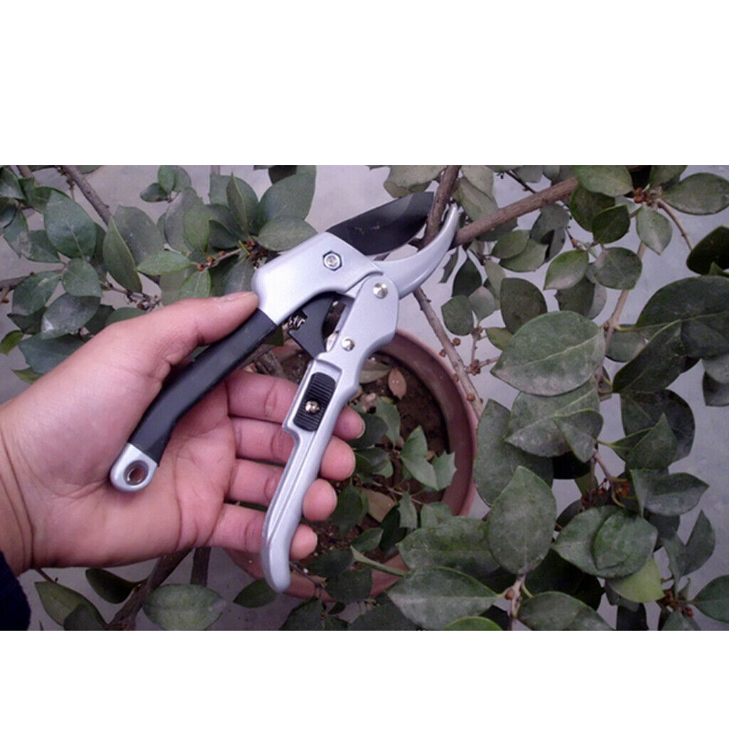 Garden Pruning Shear Curved Plant Scissor Garden Trimmer Labour Saving 200mm