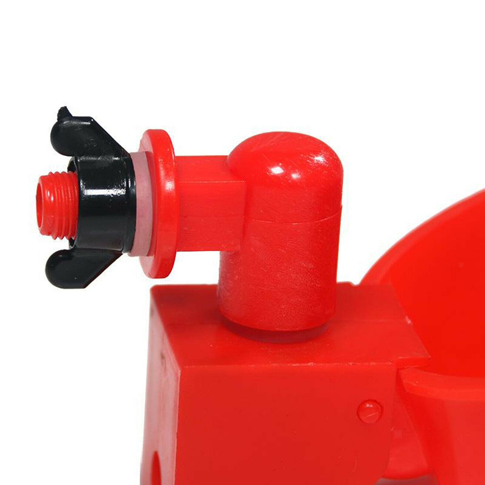 Poultry Chicken Watering Cups Backyard Plastic Waterer Breeding Goose Pigeon