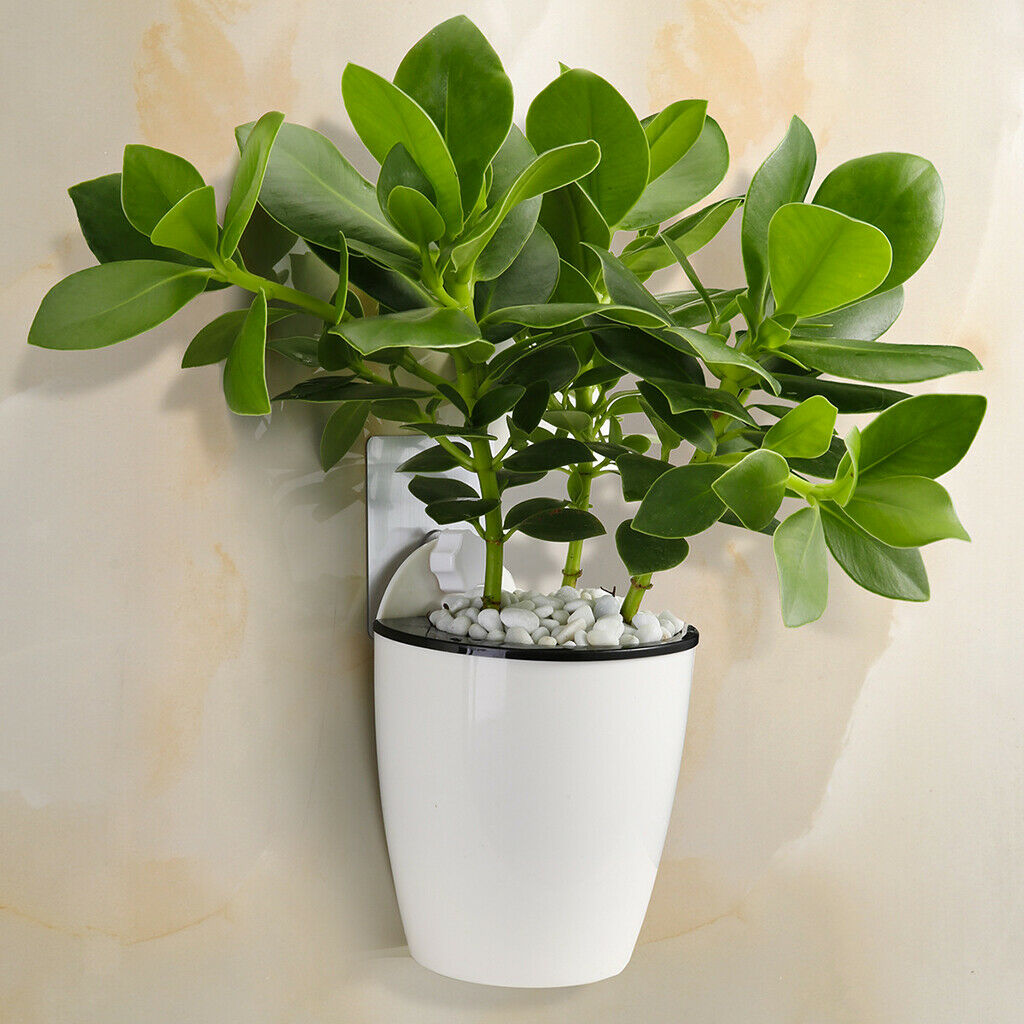 6 lot White Self-watering Wall Hanging Flower Pot Vase f/ House Garden Decor