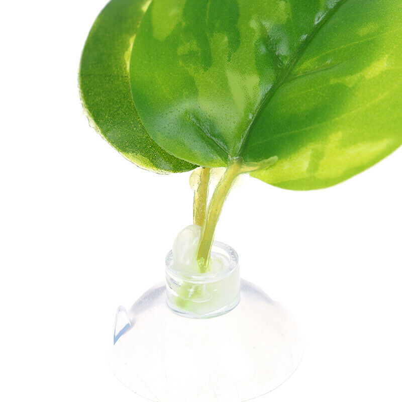 Betta Leaf Decor Landscaping Simulation Oviposition Rest Floating Aquariu.l8