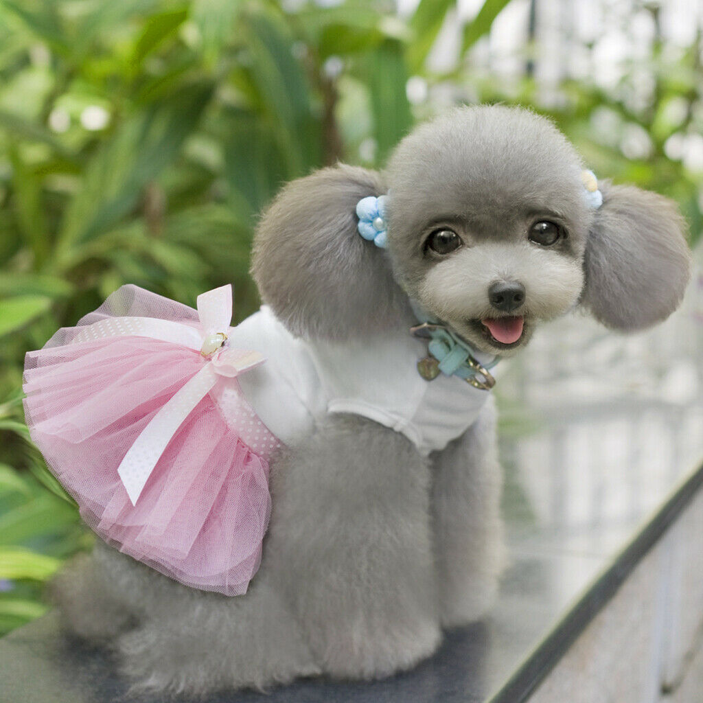 2 Pcs Summer Sweet Style Pet Dog Skirt, Cute Female Girl Pink Princess Dress for