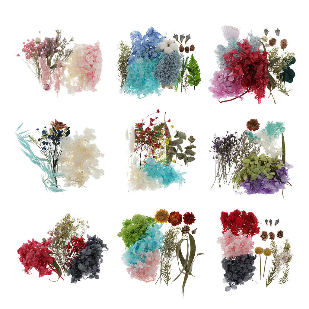 Natural Dried Flowers Leaves for Cards Making Jewelry Making Paper Art