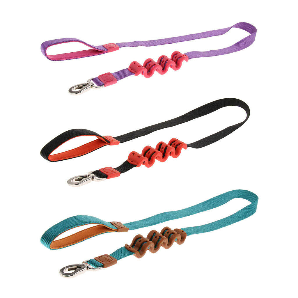 Pet Dog Walking Training Belt Bungee Leash Anti-Shock Stretch Rope Black