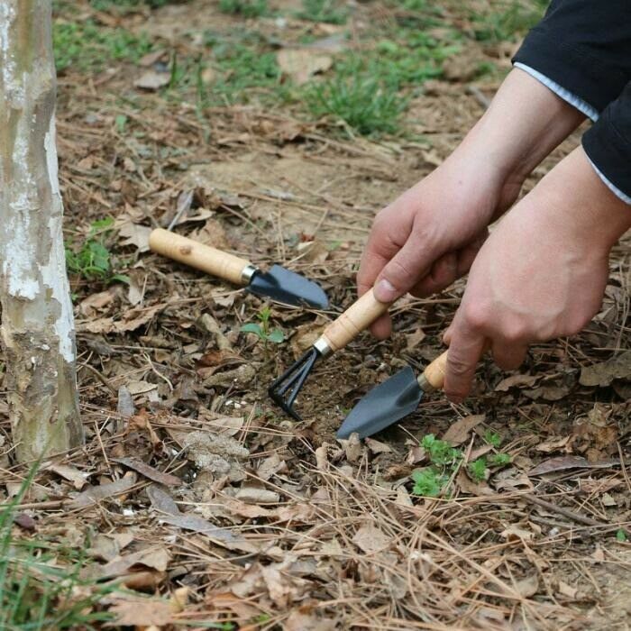 3 pcs Garden Tools Set Gardening Kit Hand Heavy Duty Rake Shovel Trowel Metal