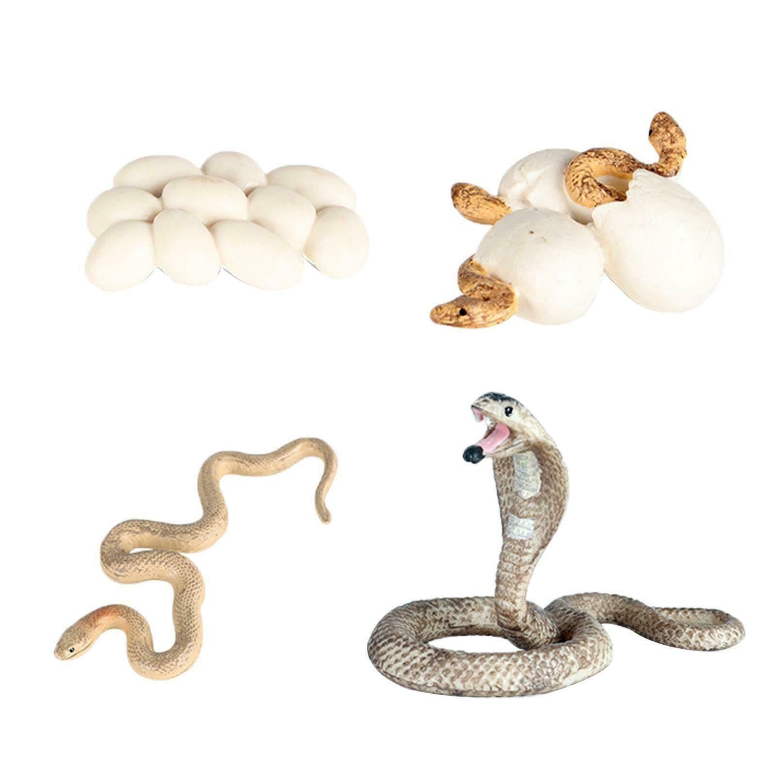 Realistic Cobra Growth Figures Kids Cognitive Toys Role Play Themed Party