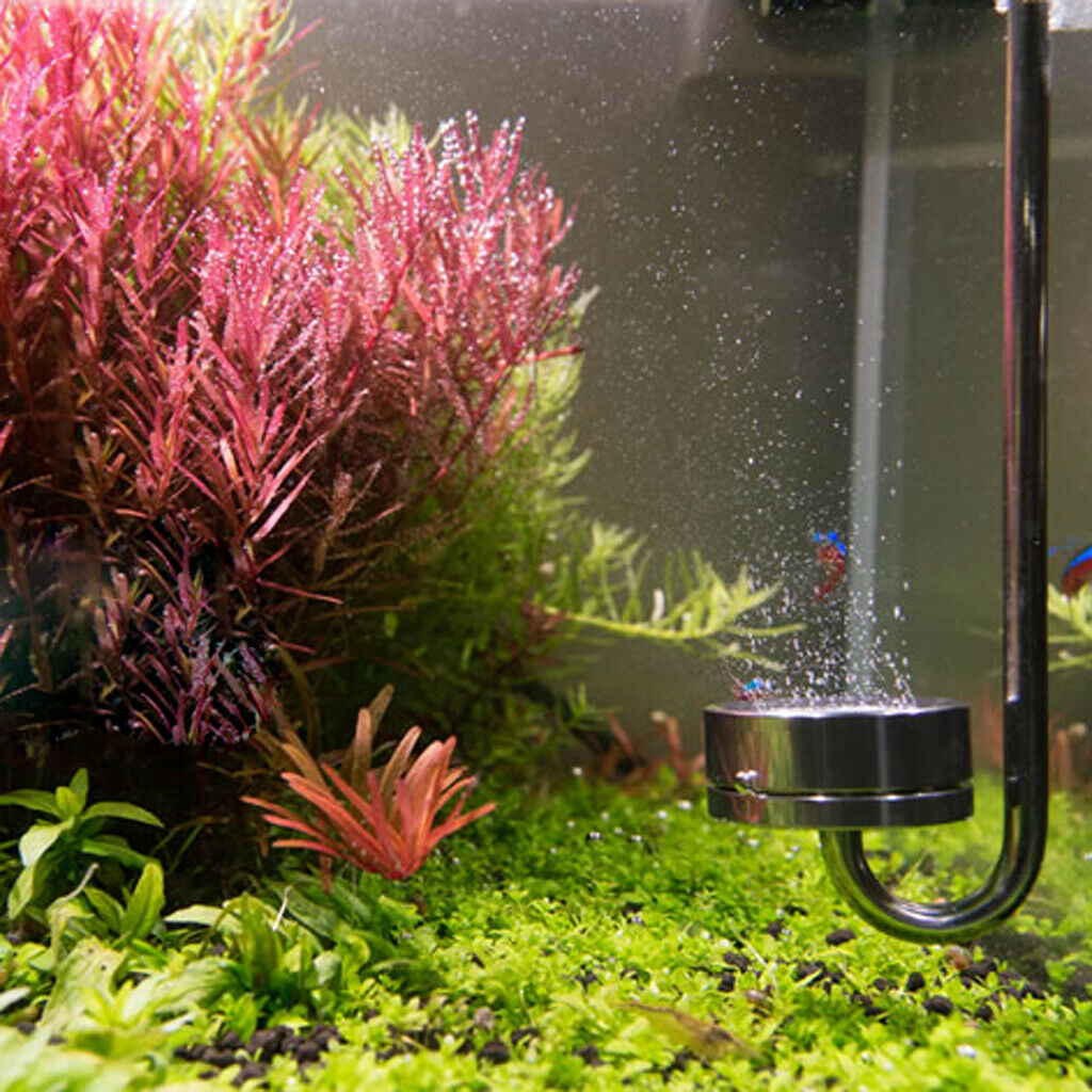 Stainless Steel CO2 Diffuser with U Tube Connector for Aquarium Plant Tank