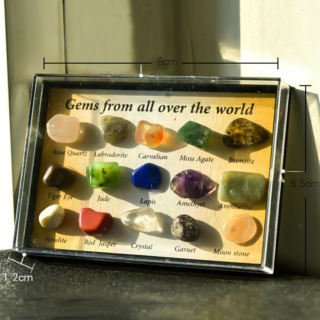15 Rough & Polished Mineral Stone Set Education Specimen Kit in Wooden Box