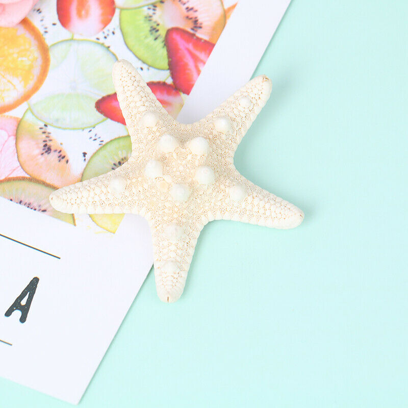 Fashion Lady Hair Clips Women Girls Starfish Sea Star Hairpins Beach Barr.l8