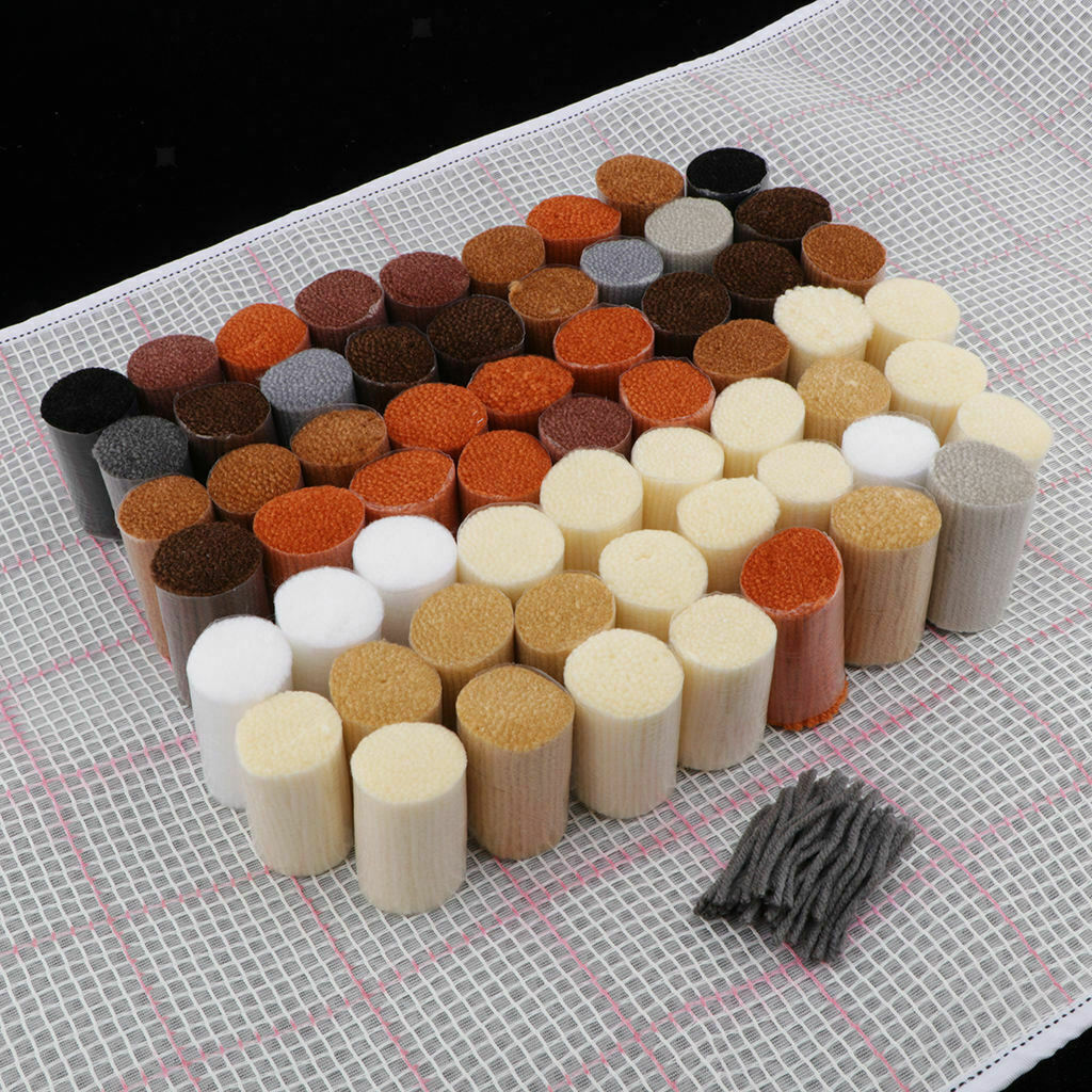 DIY Latch Hook Kit Rug Making Crafts for Kids/Adults 23.6 inch X 15.7 inch Two