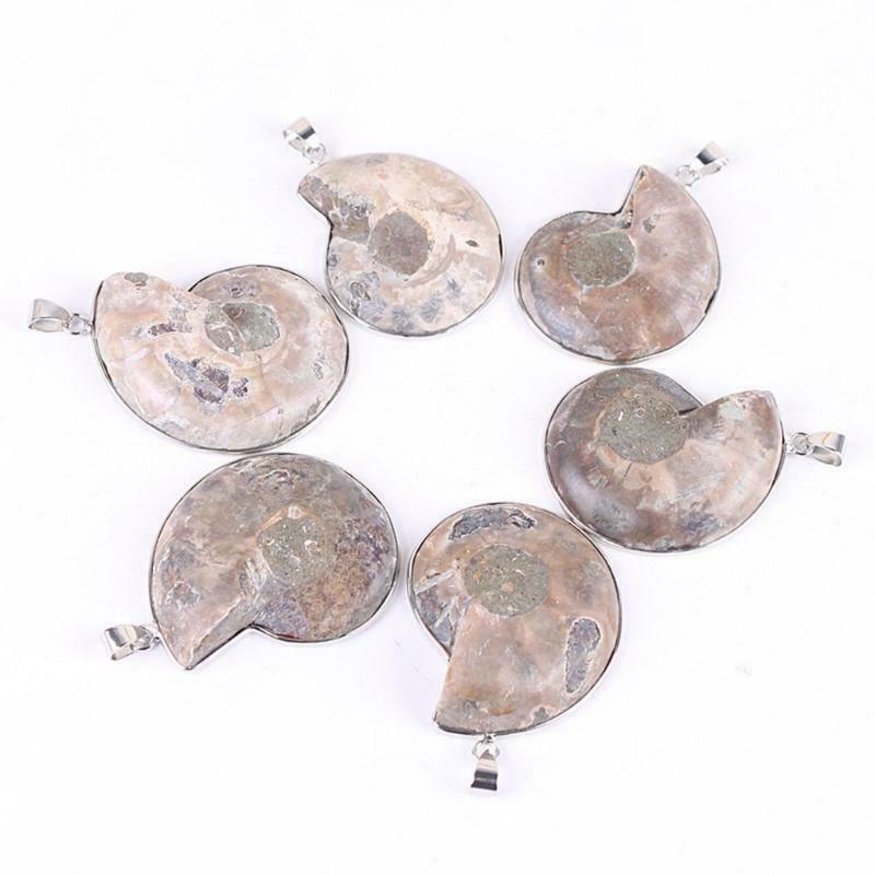 Natural Ammonite Fossils Pendant Necklace Fossils Stone Pendant Fashion Jewelry