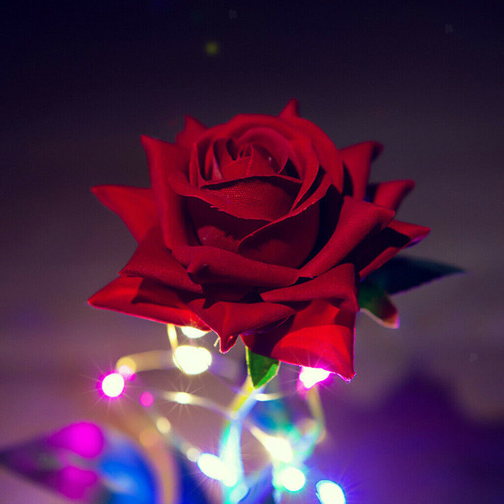 Eternal Rose Valentine's Wedding Ornament Fresh Roses Anniversary Gift