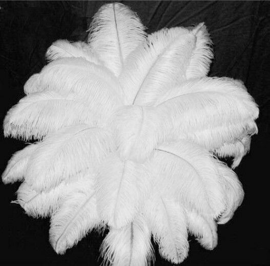 100pcs Top quality 10-12inch/25-30cm white ostrich feathers Decor wedding Party