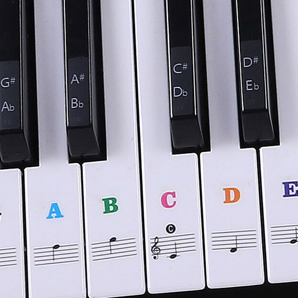 Keyboard Piano Multicolor Removable Piano and Keyboard Stickers for 49 61 76DEAU