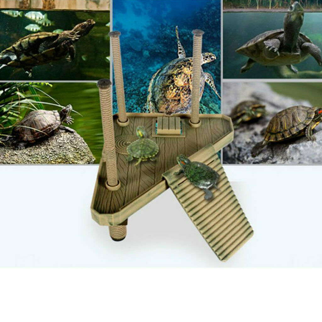 Decor Turtle Floating Dock Basking Platform Ramp Ladder with Support Frame for