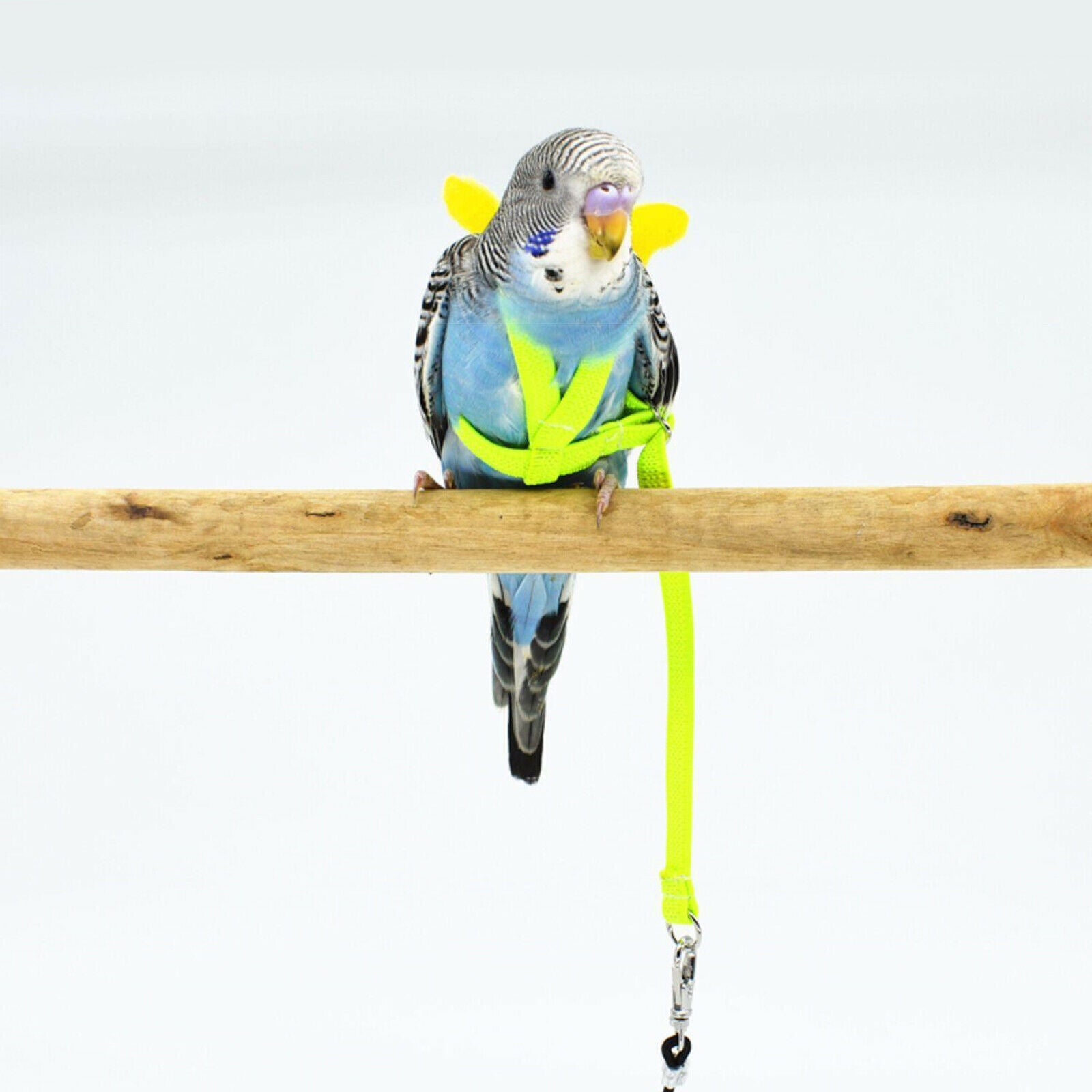 Pet Leash Parrot Bird Adjustable Harness Flying Training Rope Yellow 7mm