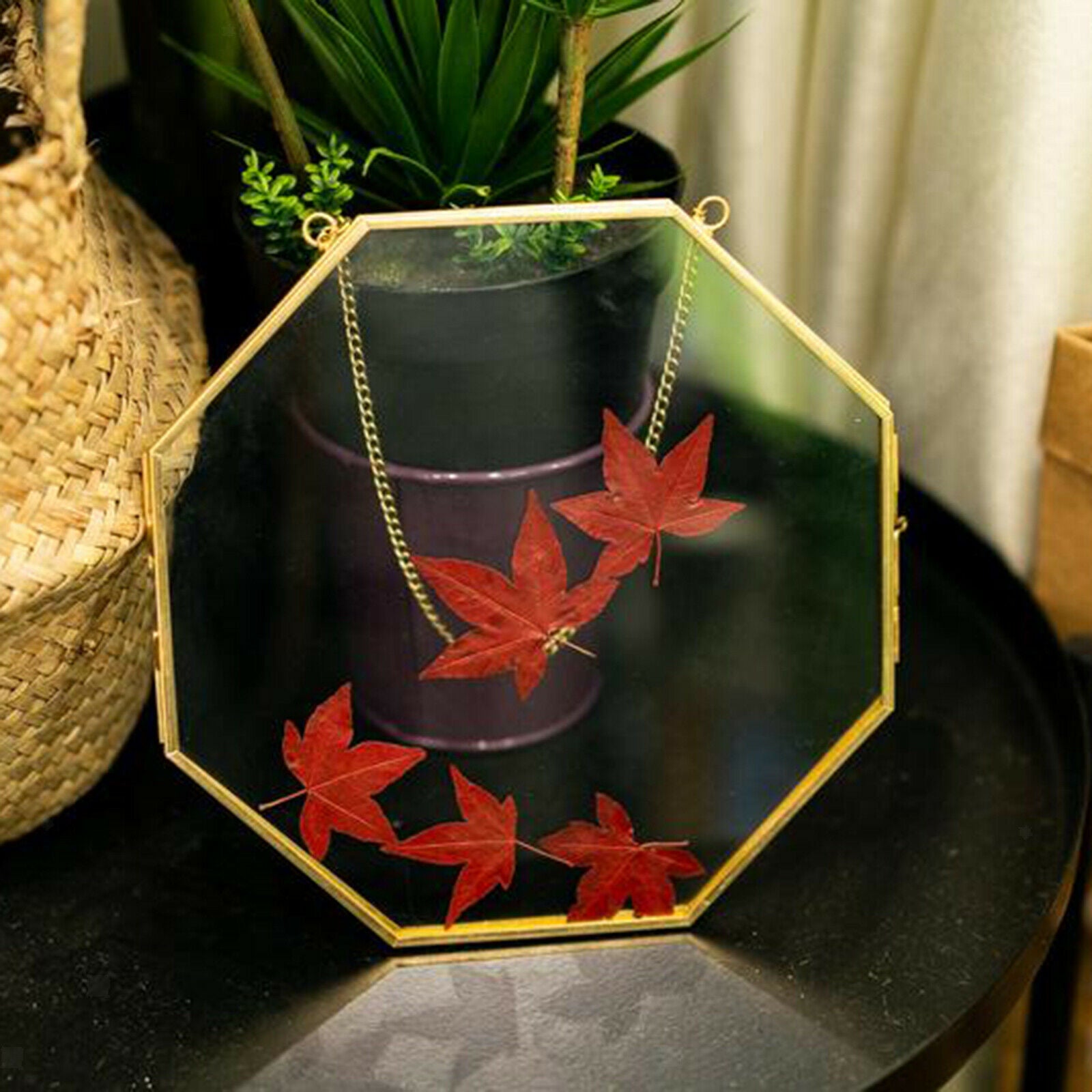 Brass Hanging Photo Frame Picture Frames Clip for Display Plant Specimen
