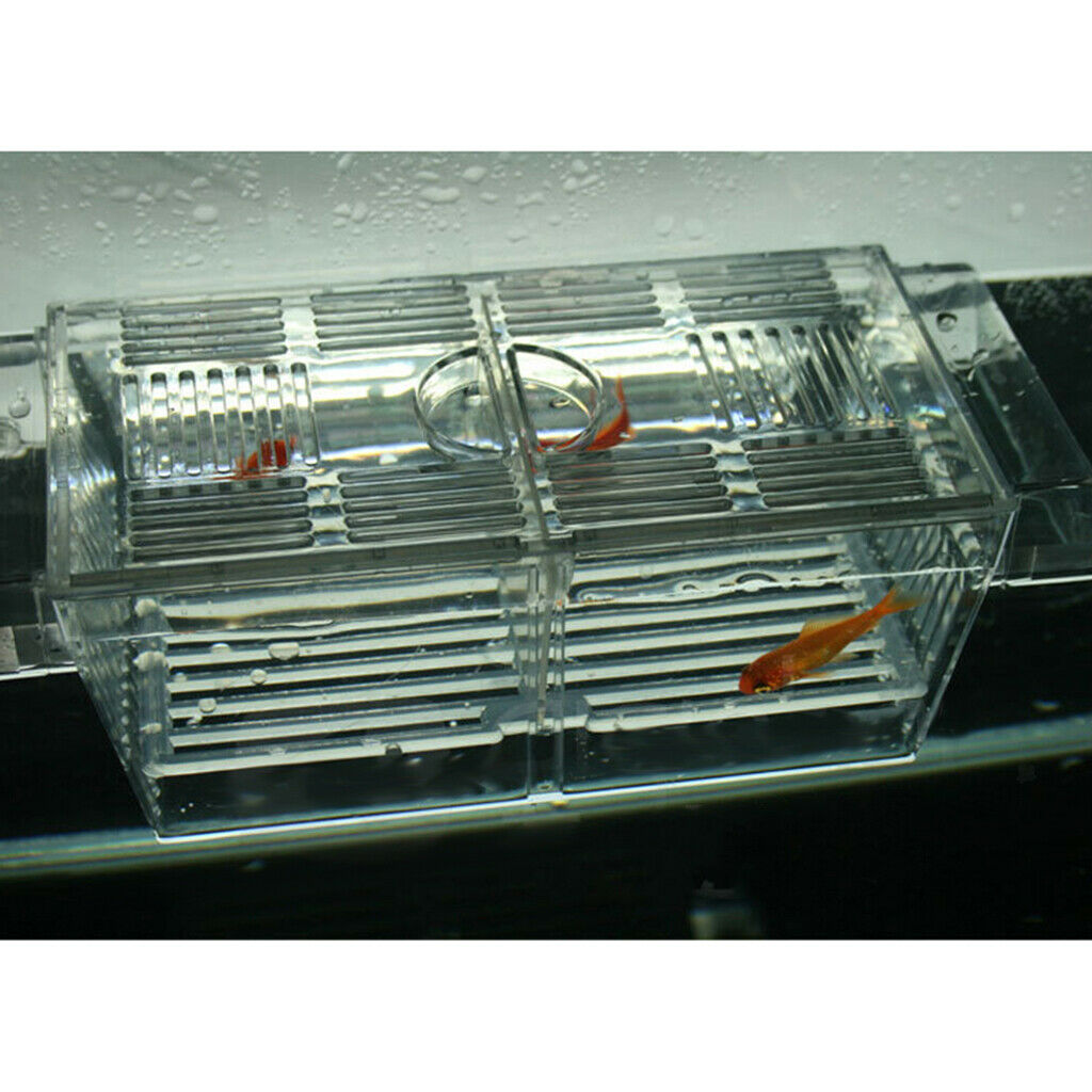 Auto Fish Food Feeder Dispenser + Aquarium Fish Hatchery Breeding Case Large