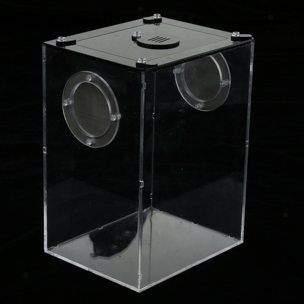 Acrylic Reptile Terrariums Plant Feeding Tank Lizard Breeding Box Reptiles