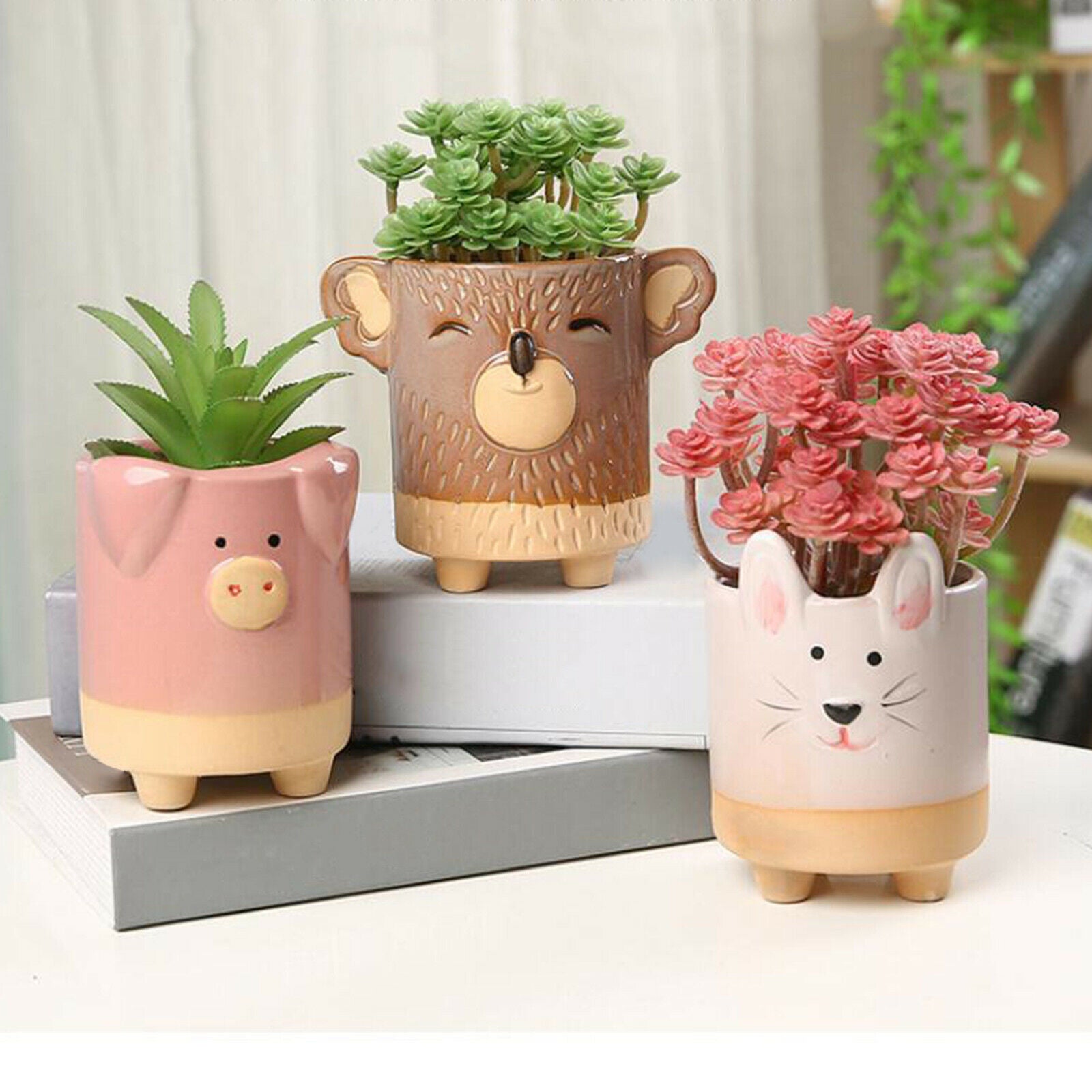 Flower Pot Animal Shaped Planters Pots 5pcs Koala Frog Desktop Decoration