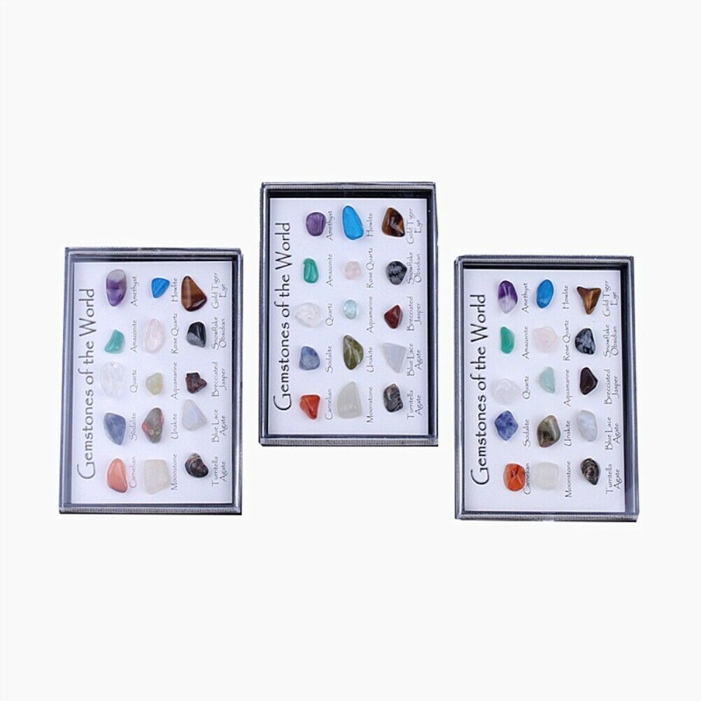 15 Pcs Mini Natural Crystal Agate Stone Rocks Minerals Fossils for Kids Teaching
