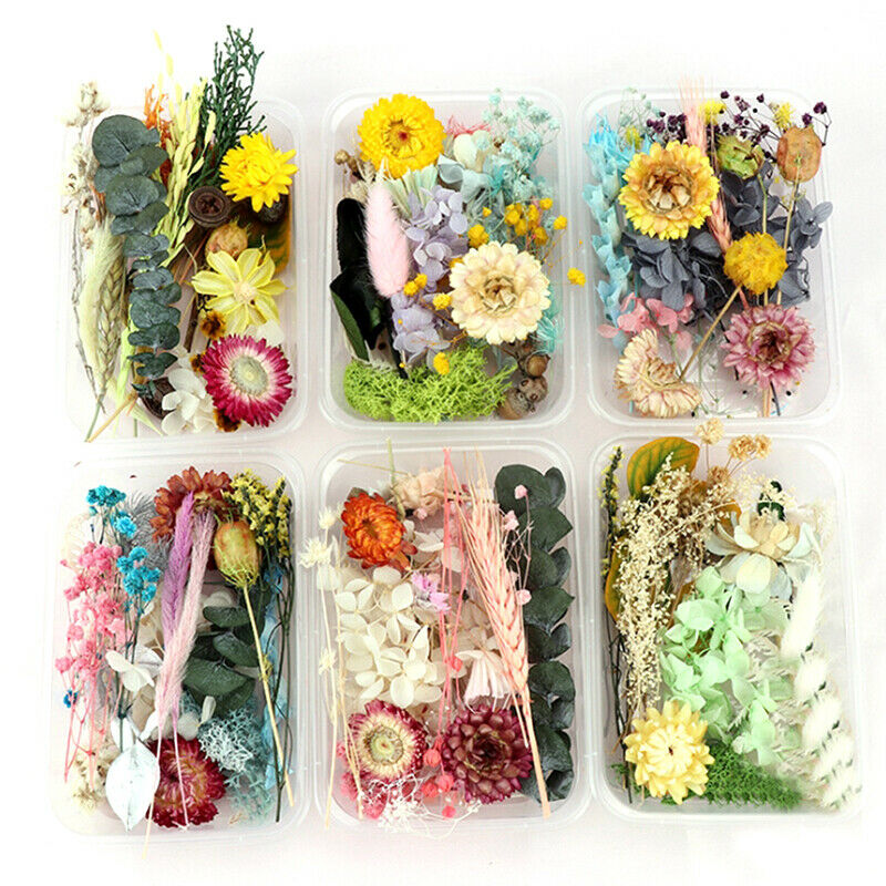 1Box Random Real Dried Flower Dry Plants DIY Aromatherapy Candle Epoxy Re.l8
