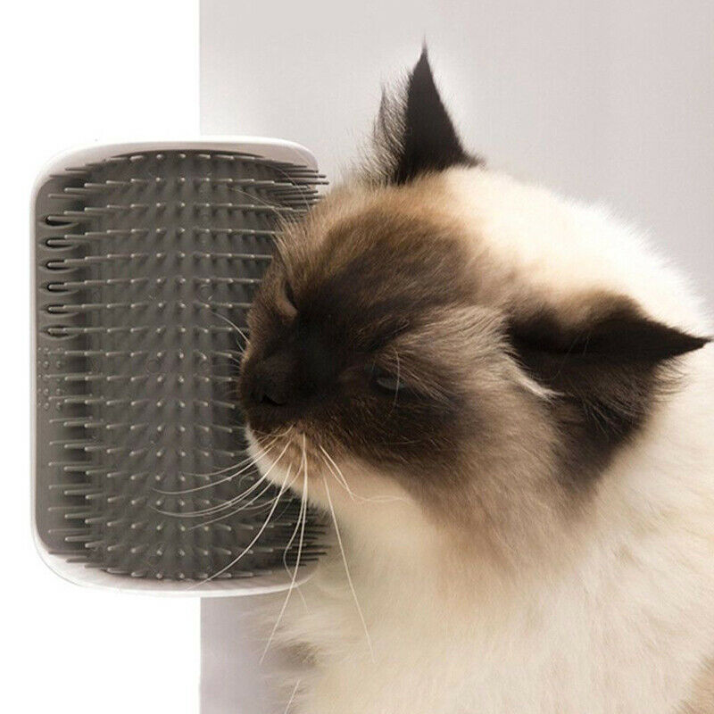 Shop-Story - Groomer Grey: Brush Angle Grooming for Cat