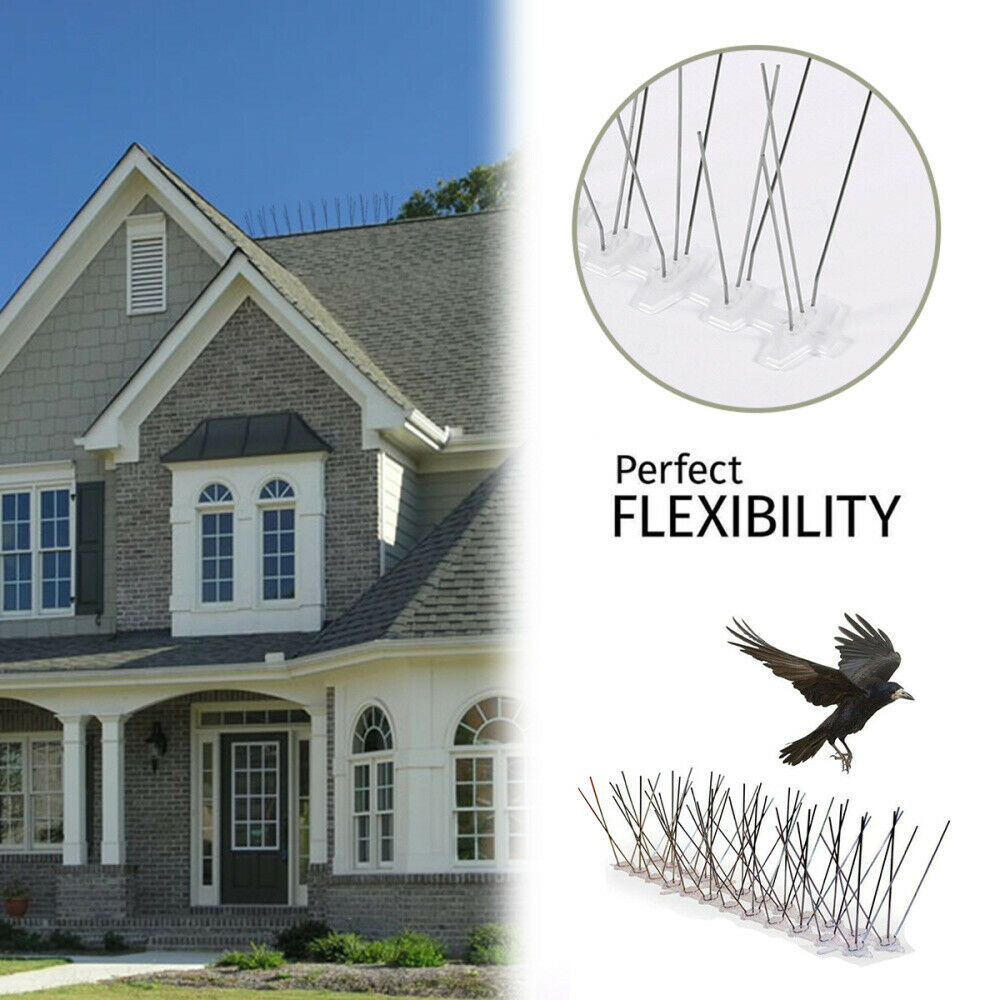 10 Feet Fence Wall Spike Anti-Bird Pigeon Repeller Deterrent Window Perch Pest