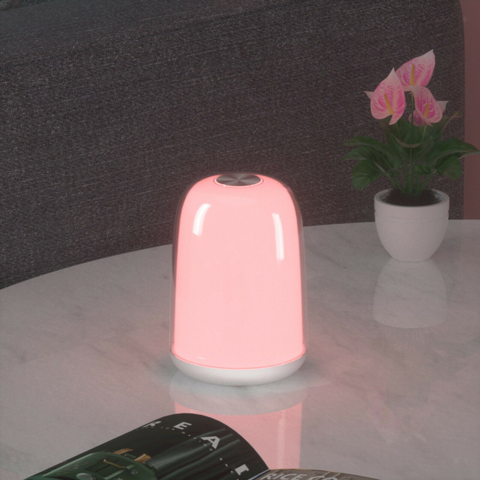 Bedside Table Lamp LED Night Light Dimmable Touch Control USB Rechargeable