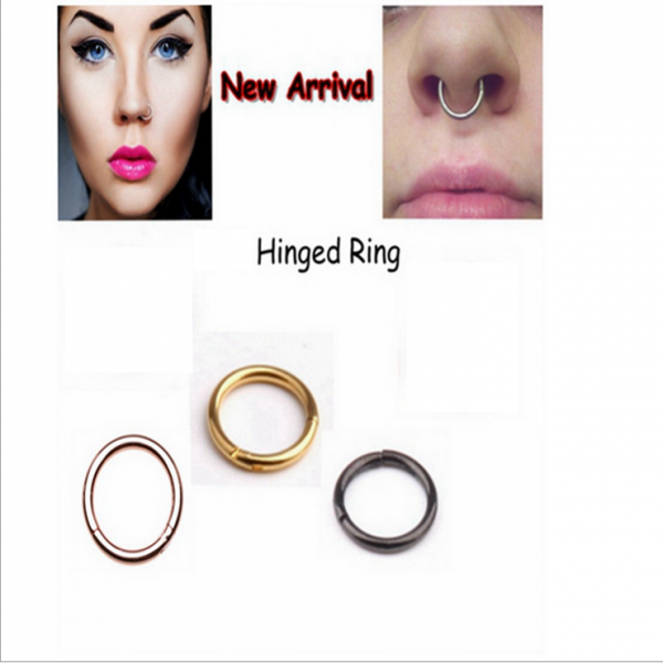 2 Piece Stainless Nose Ring Clicker Septum Hinge Tragus 16G 1.2x10mm Rainbow
