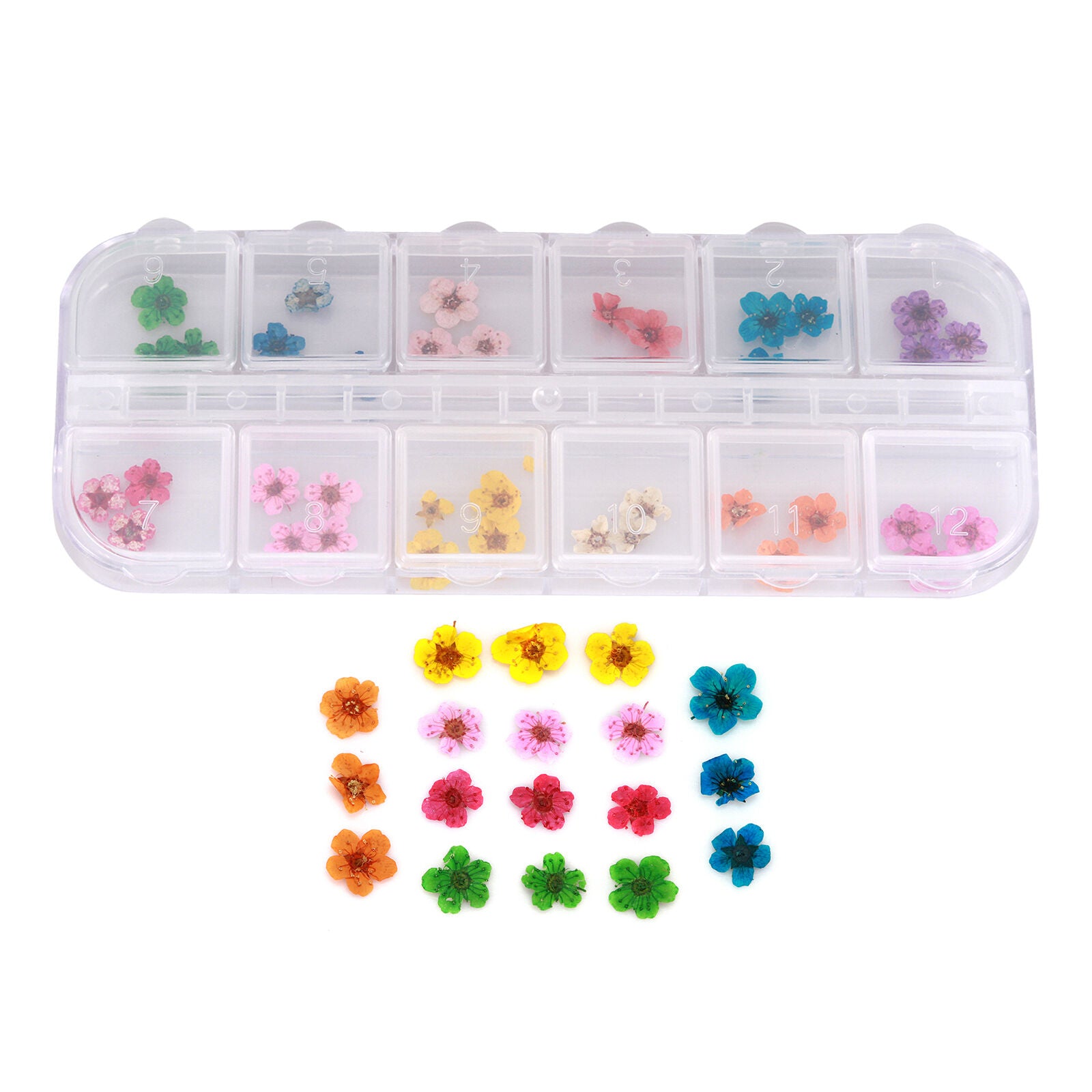 12 Colors Nail Art Decor Real Dry Dried Flower Set For DIY Nail Tips With Box