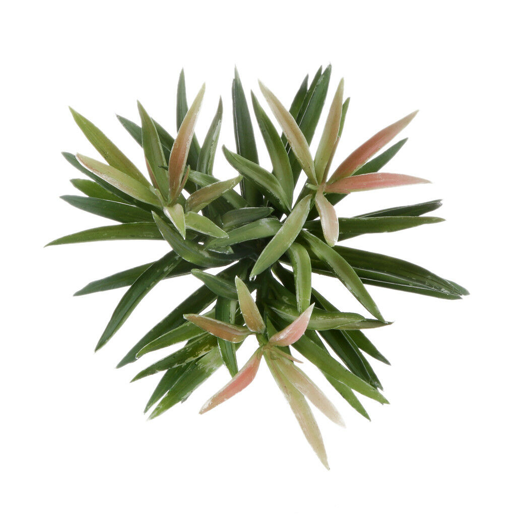 Artificial Succulent Real Touch 3-Bunch Green Leaf Plant Foliage Home Decor