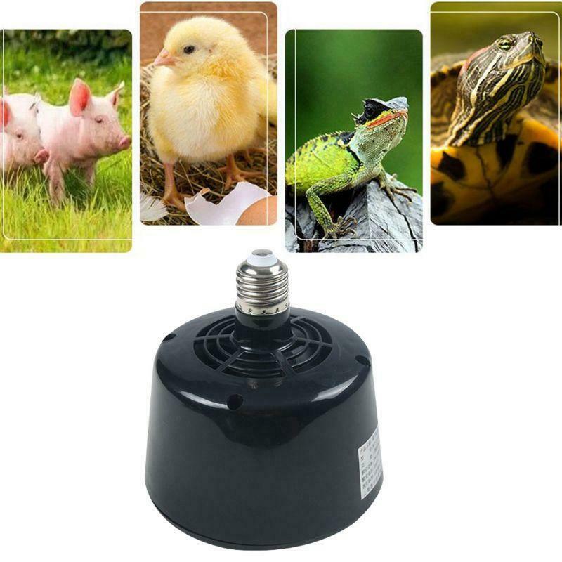 Lizard Reptile Heating Fan Adjustable Pet Insulation Heater Lantern Turtle Box