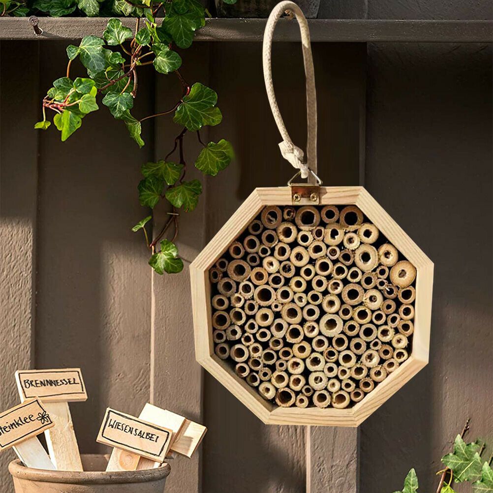 1Pcs Wooden Bee House Set Tube Beekeeping Box Bees Nesting Box Garden Insect Box