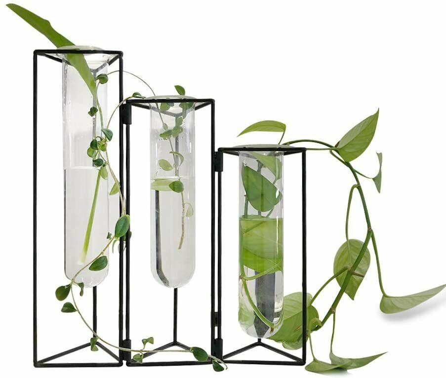 Glass Test Tubes Vase Flower Hydroponic Planter Stand Rack Decor with Iron Frame