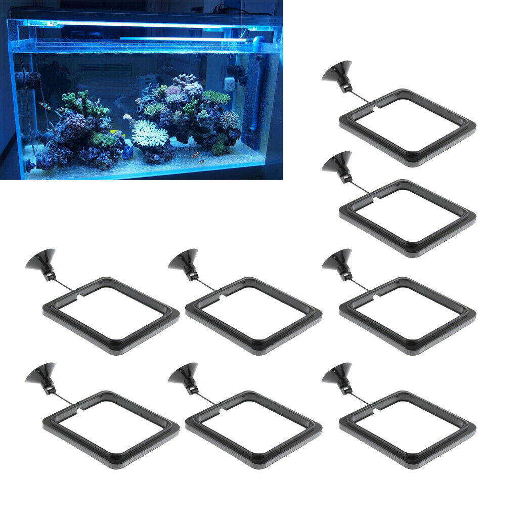 8 x Practical Floating Food Square - Reduces Waste & Maintains Water Quality for