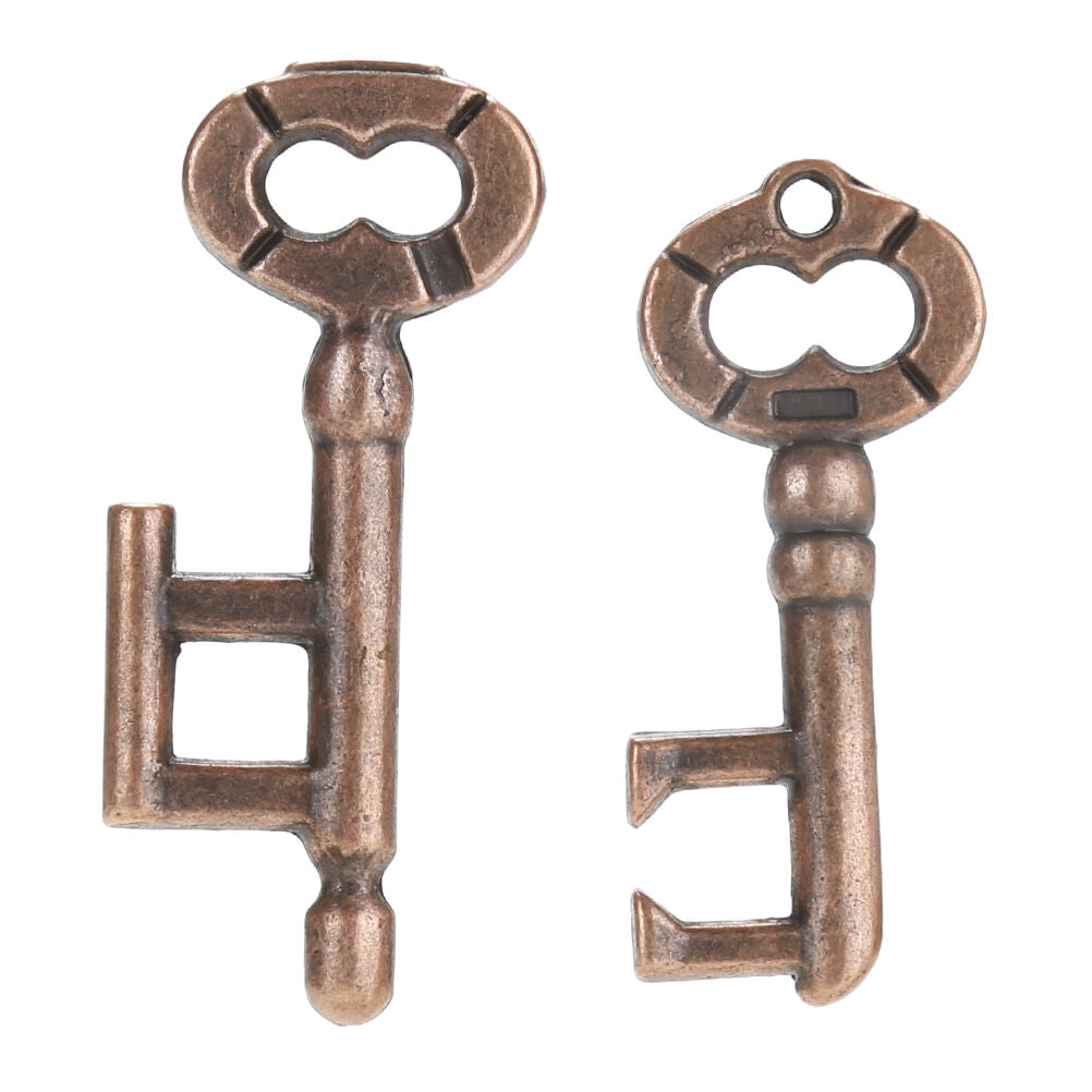 1Pcs Alloy Key Ring Puzzle Brain Tester IQ Test Kids Adults Intelligent Toys DF