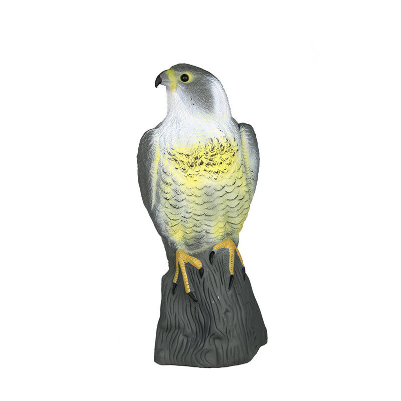 Realistic Falcon Animal  Statue Falcon Decoy Rabbi Repeller Pest Control