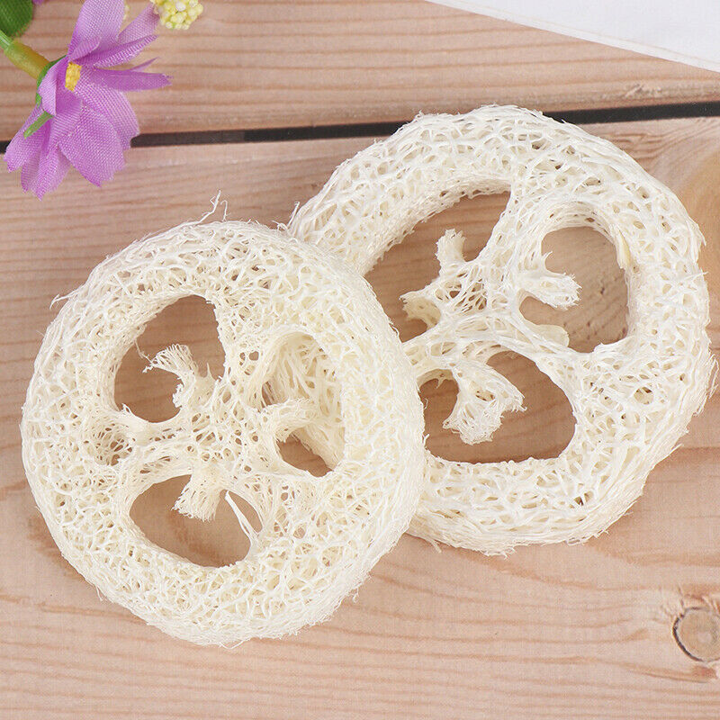 2Pcs Natural Loofah Soap Holder Dish Bathroom Storage Support Plate Stand HO.DD