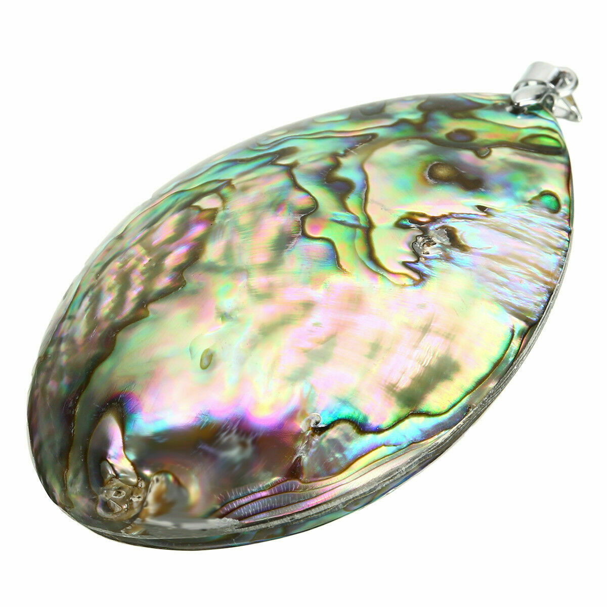Natural Seashell Abalone Shell Pendant Jewellery Craft Gifts House Pendant Decor