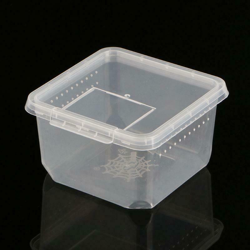 Reptile Terrarium Feeder Breeding Box Tortoise Spider Lizard Beetle Insect House