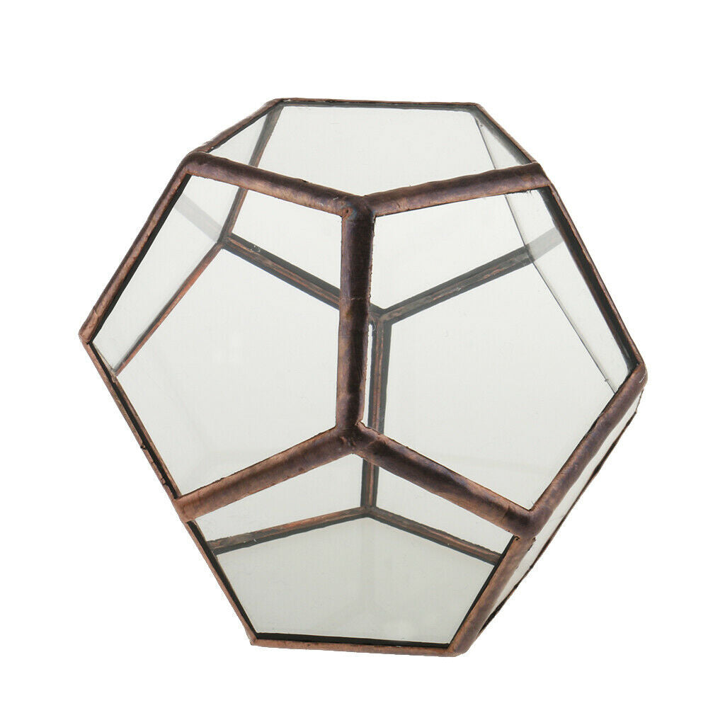 2x Glass Brass Terrarium Box Tabletop Succulent Plant Planter Flower Pot
