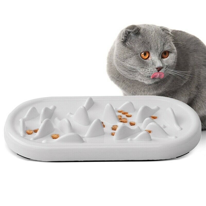 Slow Feeder Cat Bowls Pet Fun Interactive Feeder Cat Bowls Helps Stop Bloat N3O5