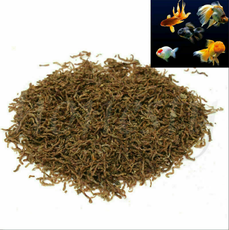 10g Freeze Dried Blood Worm Fresh Tropical Fish Discus Tetra Food Feeding