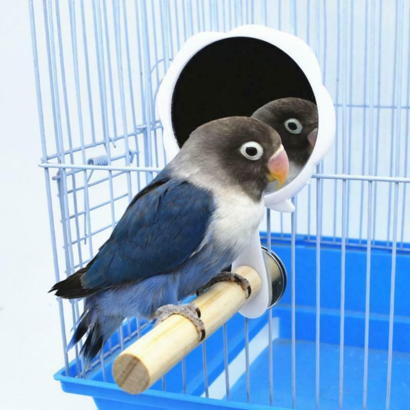 Parrot Perch Strong Wooden Jungle Gym Roosting Bar Parrot Toys With Mirror