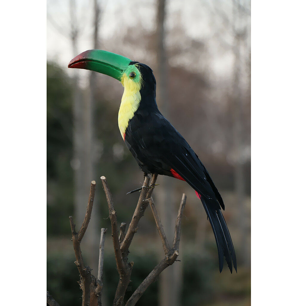 Artificial   Feather Birds Toucan Tree Decorations Craft Ornaments #8